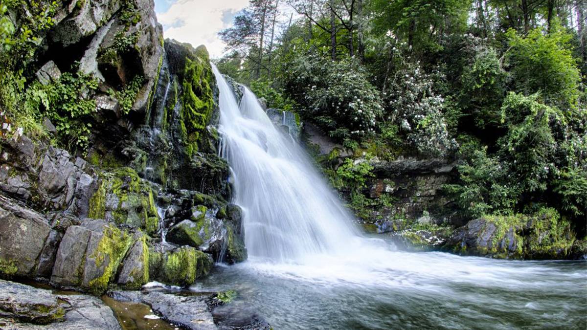 Abrams Falls Surrounded by Forest in The Smoky Mountains - Pigeon Forge, Tennessee, USA